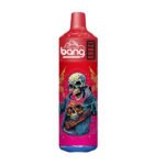 Bang 12000 Puffs Disposable Vape 20ml Mesh Coil Disposable Vape
