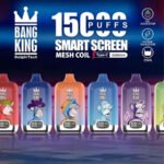 Bang King Smartscreen 15000 Puffs Disposable Vape