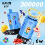 cash on delivery Bang Leader Stoll 300K 6-in-1 Disposable Vape – 300,000 Puffs | Independent Flavor System | Ultra-Long Performance